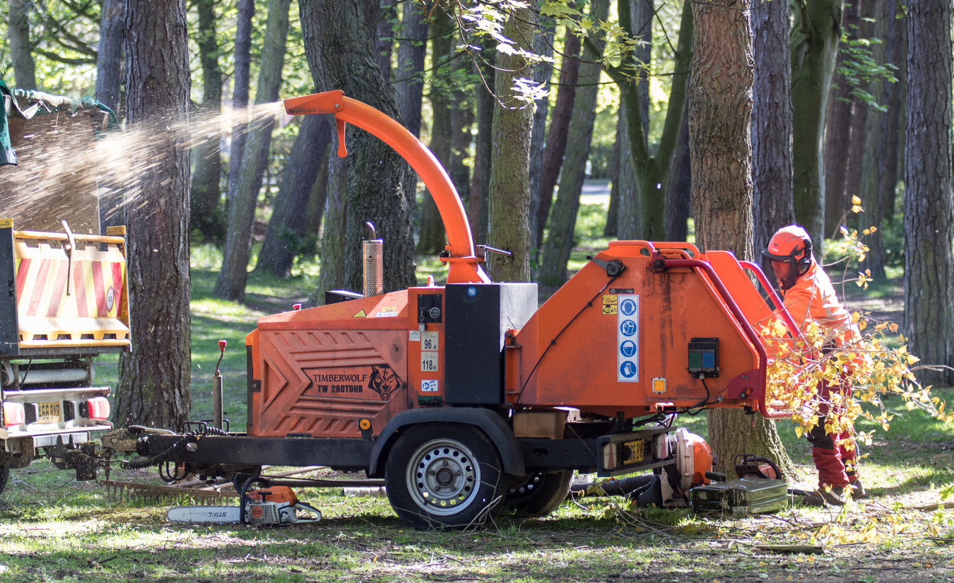Can Portable Wood Chippers Chip Old Dead Branches?: Find Out the Truth!