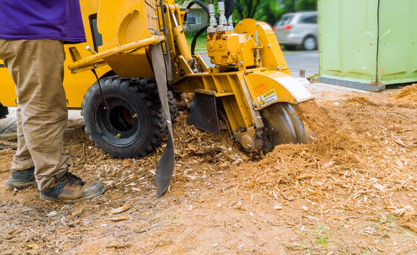 man using a stump grinder