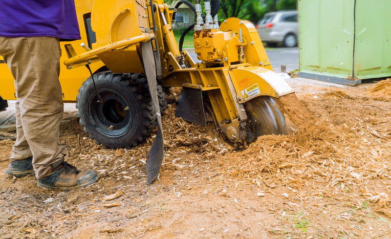 man using a stump grinder