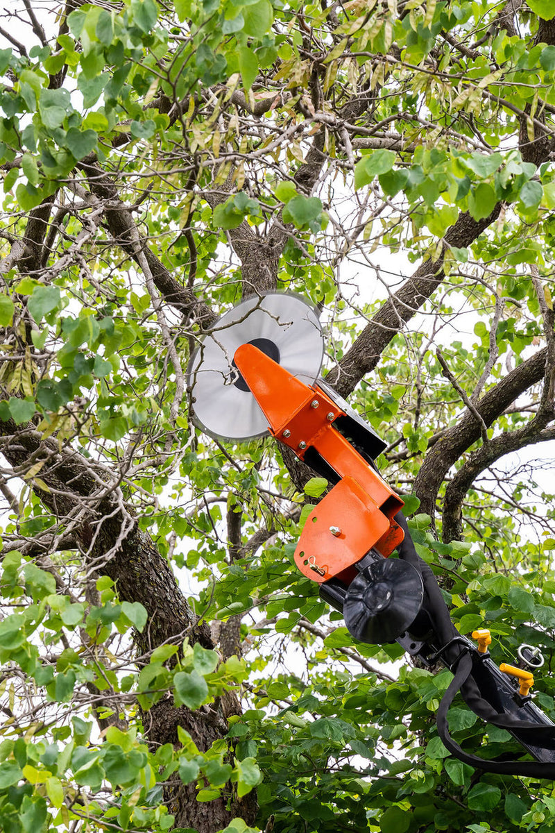 LimbSaw 20" Blade Specs are 16-5/16" blade, 60 carbide teeth - Trim branches up to 4.5" in diameter (LSC-FULL-0151)