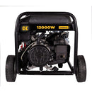 BE 12000 Watt Generator - Powered by Powerease BE12000ES