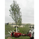 EZ SPOT UR Fixed Non-Rotating Attachment Base EZ-001F