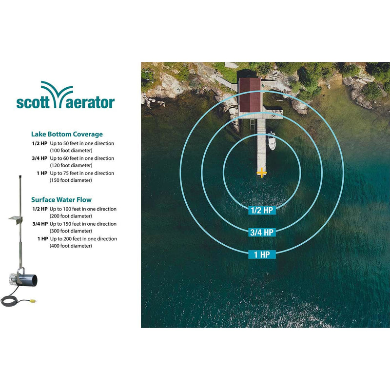 Scott Aerator Aquasweep Dock Mount, 1/3 HP, 115 V